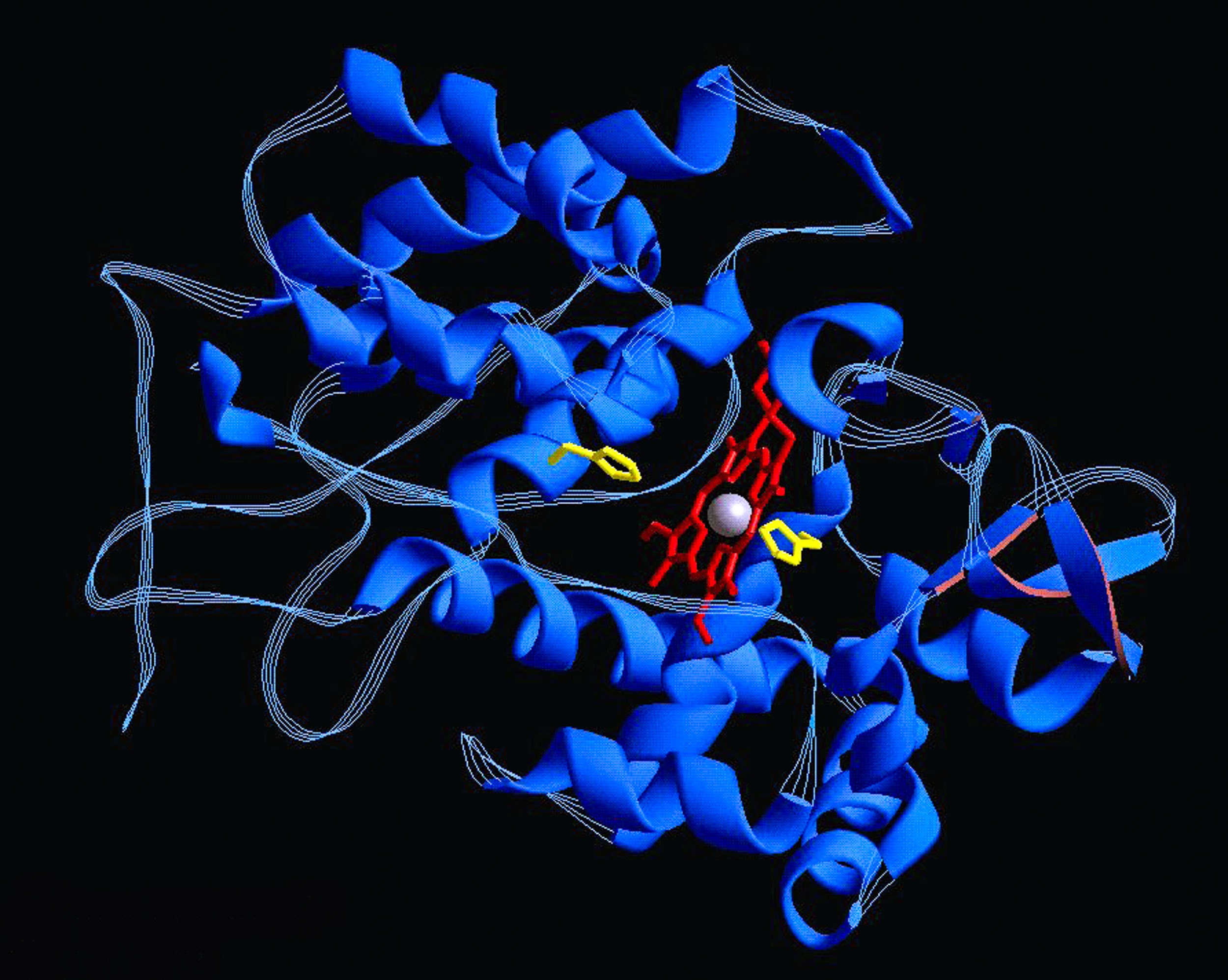 The AI Nobel Prizes Could Change the Focus of Research PrivacySolved